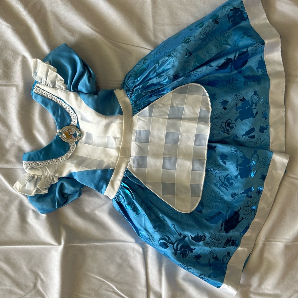 Disney princess Alice dress